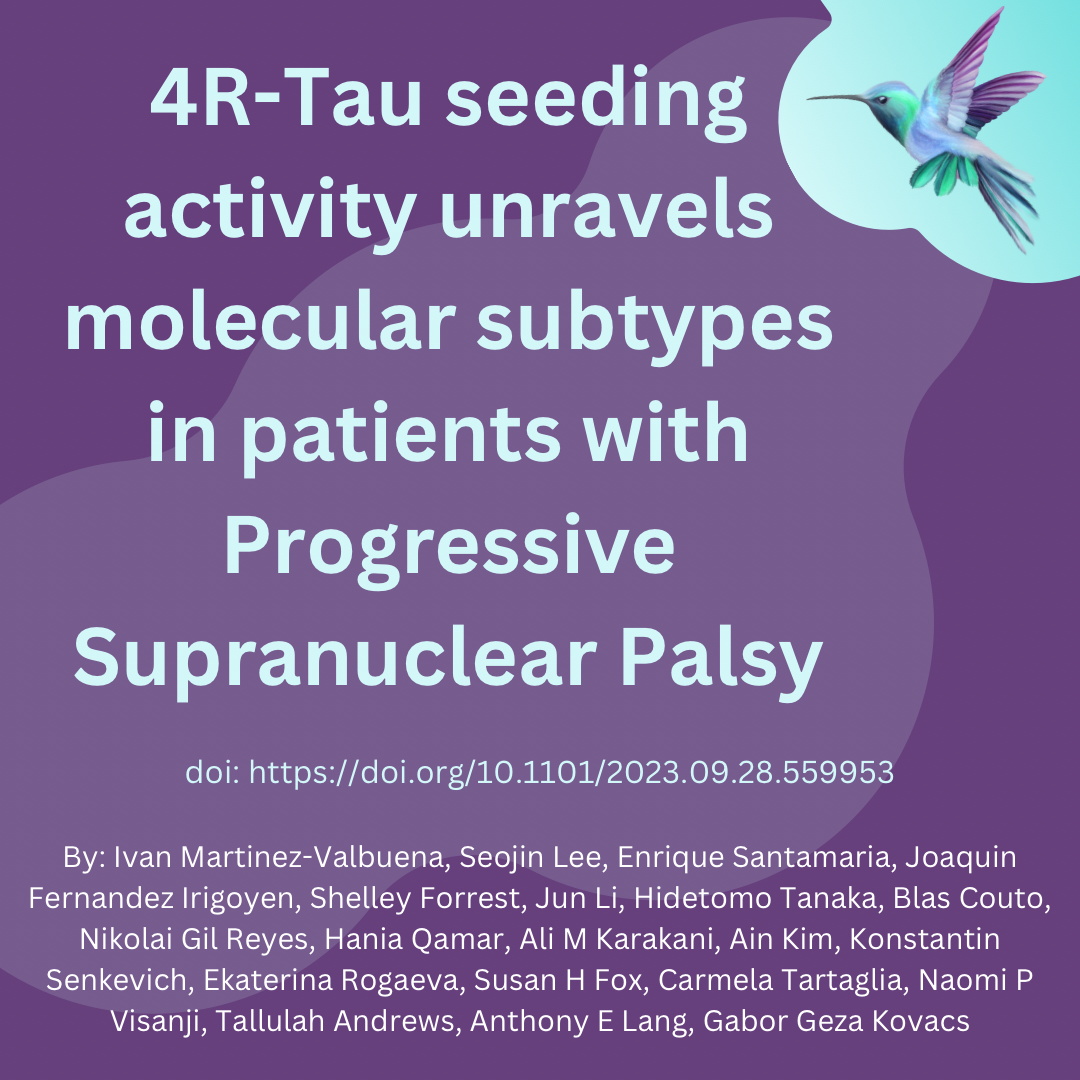 4R-Tau seeding activity unravels molecular subtypes in patients with Progressive Supranuclear Palsy